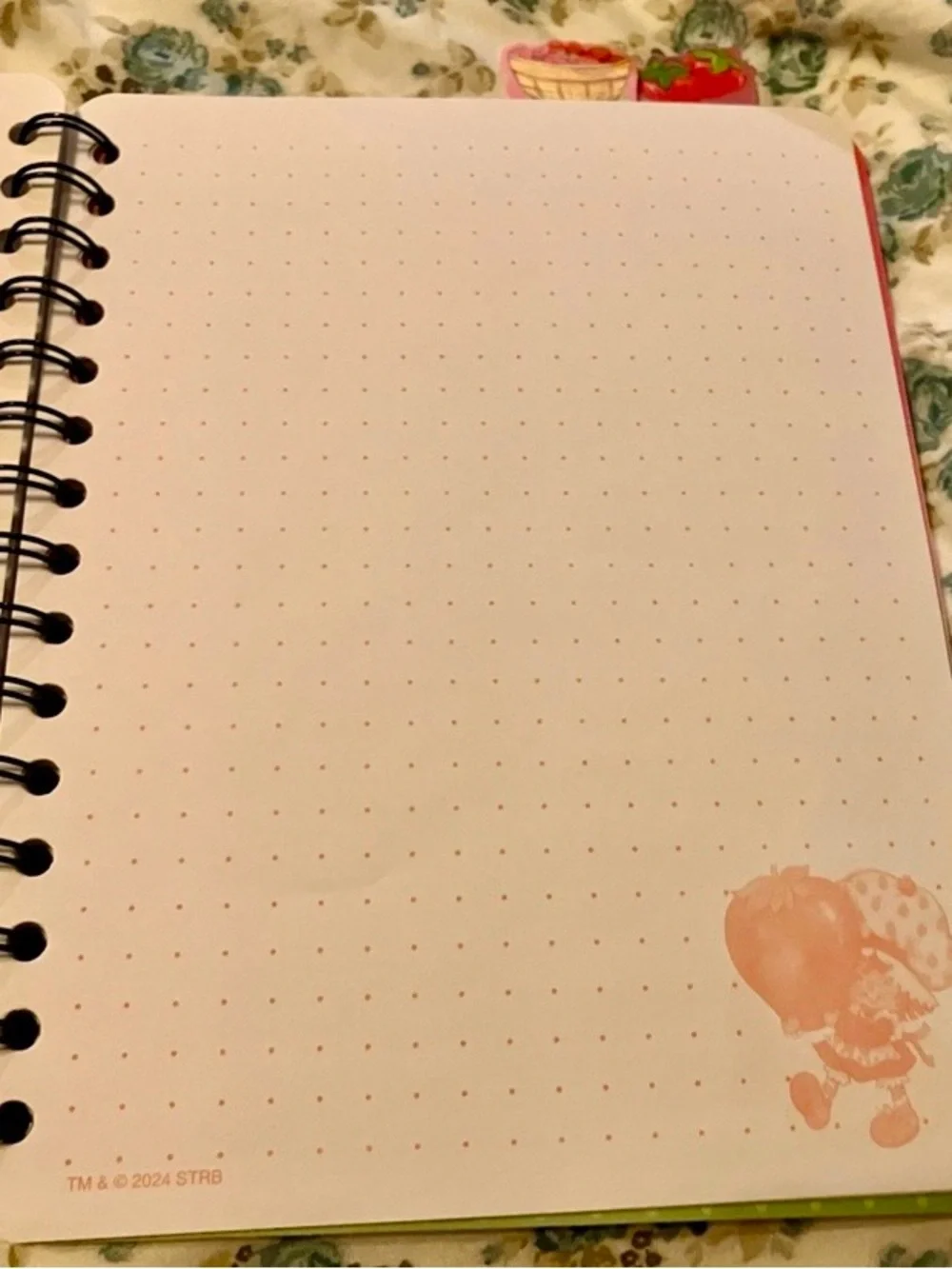 NEW Vintage Inspired Strawberry Shortcake Lined Notebook